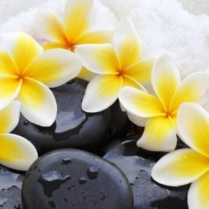 Body Firming Products